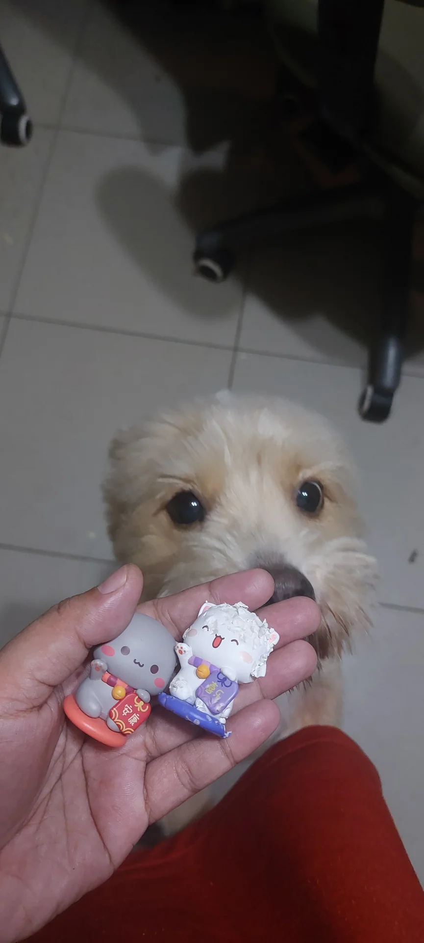 Two small figures held up for Zett the dog to sniff